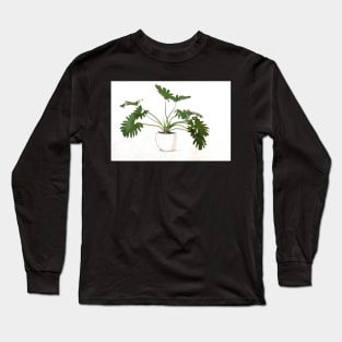 Philodendron bipinnatifidum pot plant with leaves in casual minimalist fashion Long Sleeve T-Shirt